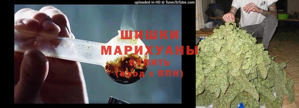 ПСИЛОЦИБИНОВЫЕ ГРИБЫ Алексин