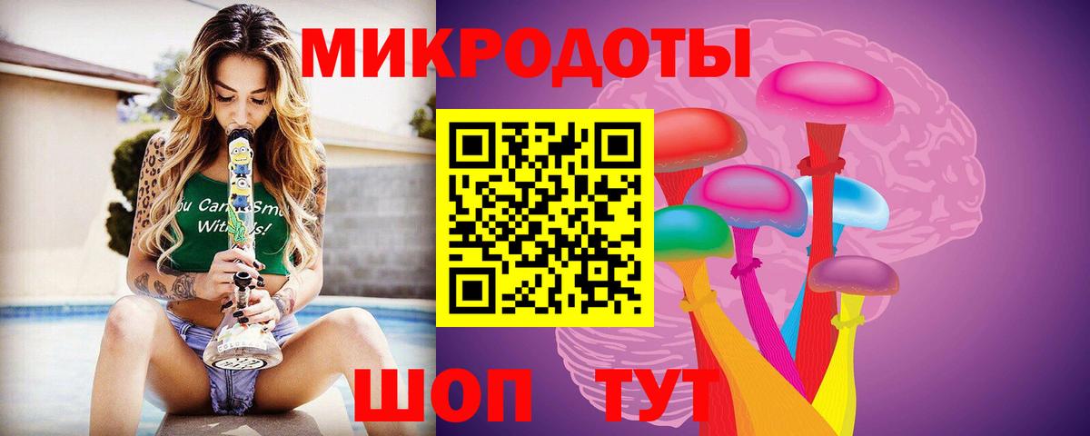 Псилоцибиновые грибы Psilocybe  Вход с VPN  Бердск 