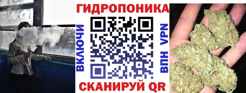 продажа наркотиков  Бердск  Каннабис Amnesia 